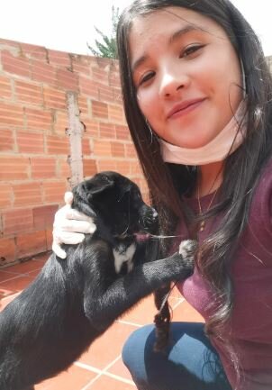 Inteligencia naturalista