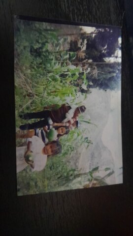 Inteligencia naturalista