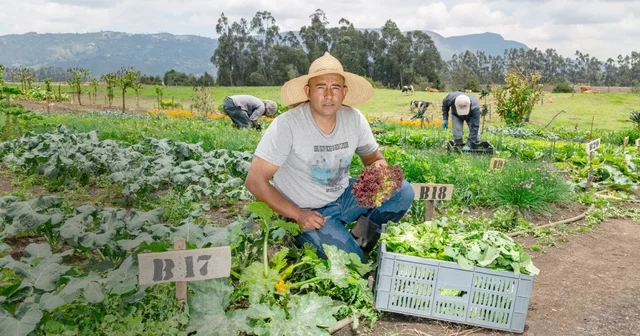 Consolidación de Inteligencias Multiples.
