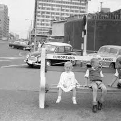 Timeline: Review + Mandela and Apartheid