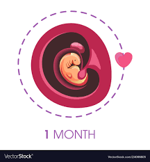 last day of menstrual cycle