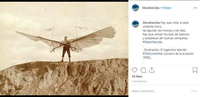 Glide Through the Sky