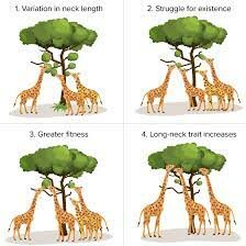 Charles Darwin's Contribution to Philosophy of Science