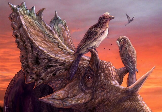 Mesozoico Jurássico (201,3 milhões de anos atrás até 145 milhões de anos atrás)