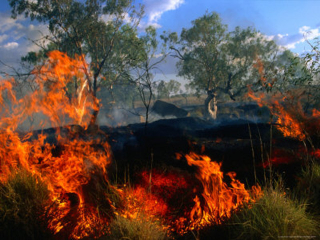 A Bushfire