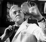 Penicillin/Sir Alexander Fleming(1881-1955)