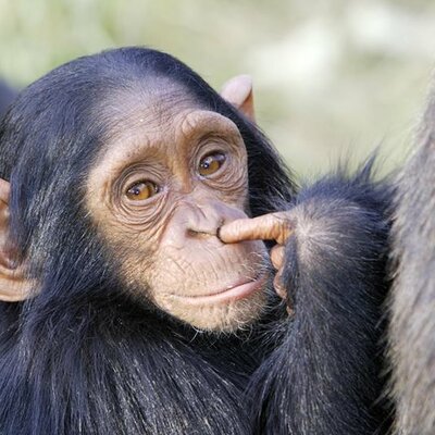 Timeline: historia de internet