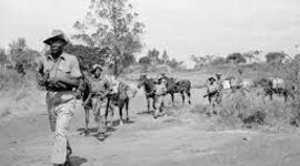 Timeline: Unit 7 Movements