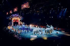 ¿Qué tipo de actuaciones hacen en el circo contemporaneo?