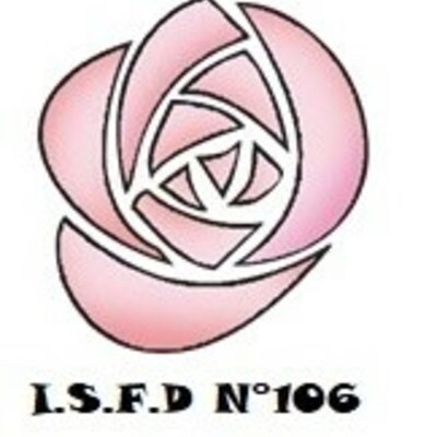 Timeline: Etapas de un proyecto