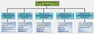 Marco conceptual y jurídico de los recursos humanos en el sector público