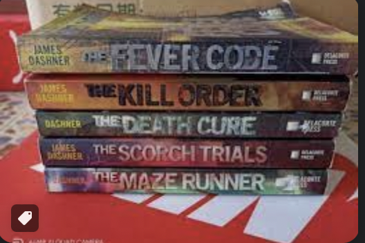 The Maze Runner