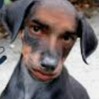 El hombre que se convirtió en perro