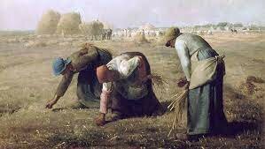 LA CLASE MEDIA RURAL