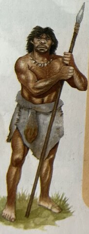 HOMO NEANDERTHALENSIS
