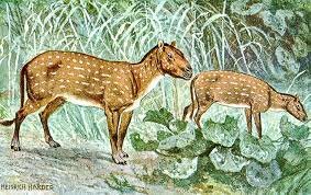 Período Paleogênico