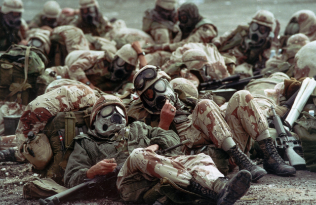 The Gulf War