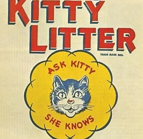Kitty Litter