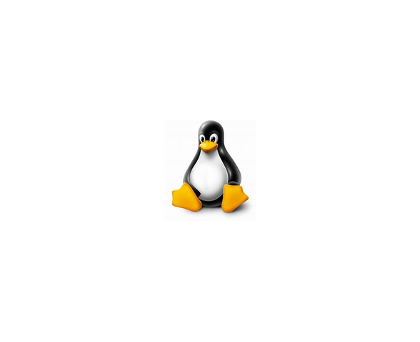 LINUX