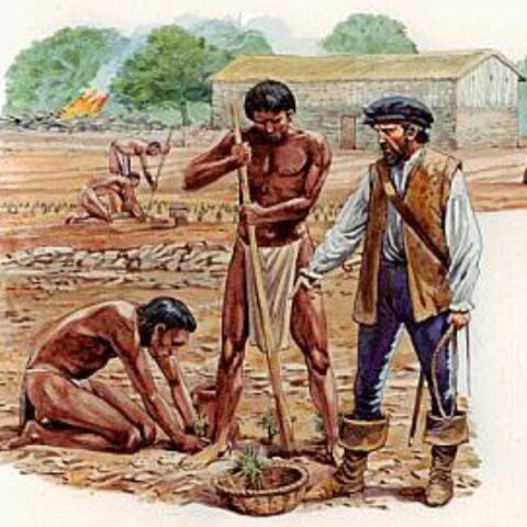 Encomienda System established