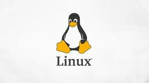 Fondazione Linux