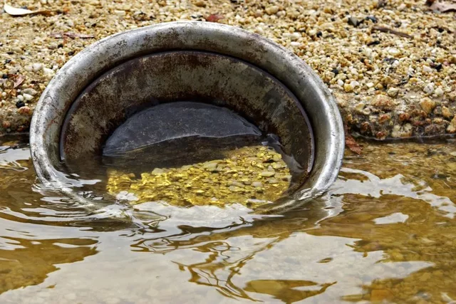 California Gold Rush