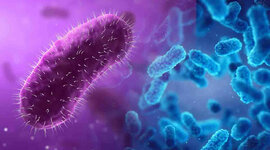 Timeline: Microbiologia