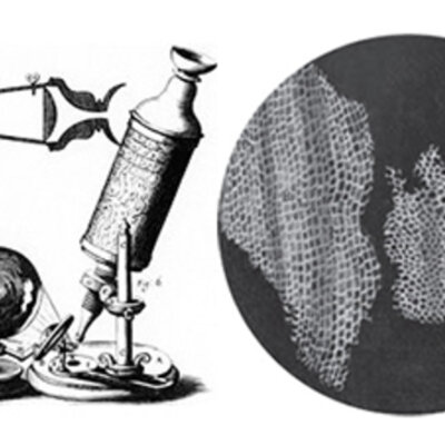 Timeline: MICROBIOLOGIA