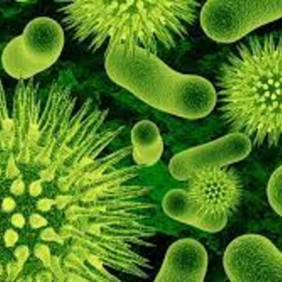 Timeline: Microbiología