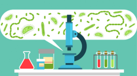 Timeline: MICROBIOLOGÌA