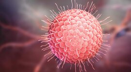 Timeline: Microbiología