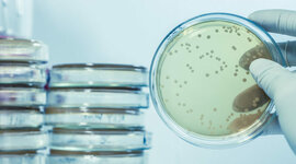 Timeline: Microbiología