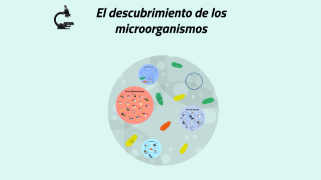 Descubrimiento de los microorganismos