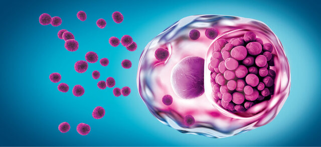 Descubrimiento de los microorganismos