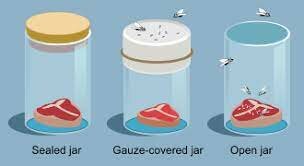 Refutación de teoría de la generación espontanea