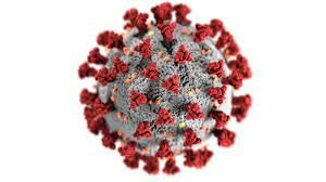 The Coronavirus Pandemic