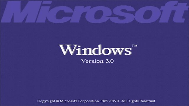 Windows 3.0