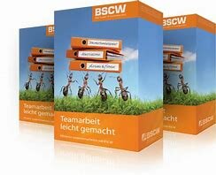 BSCW 1.0