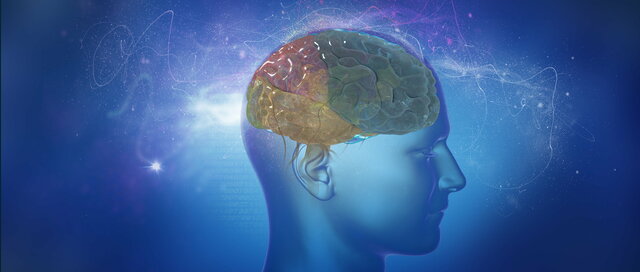 Modelo teórico del retraso mental