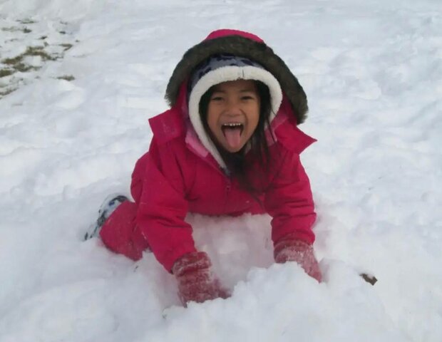 Leica vs. winter pole