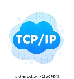 Transmission Control Protocol/ Internet Protocol (TCP/IP)