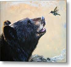 el oso y el colibrí