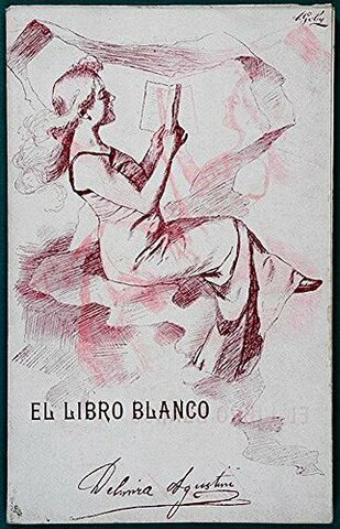 ÉPOCA MODERNISTA OBRA EL LIBRO BLANCO-DELMIRA AGUSTINI