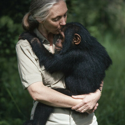 Timeline: Jane Goodall