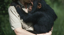 Timeline: Jane Goodall
