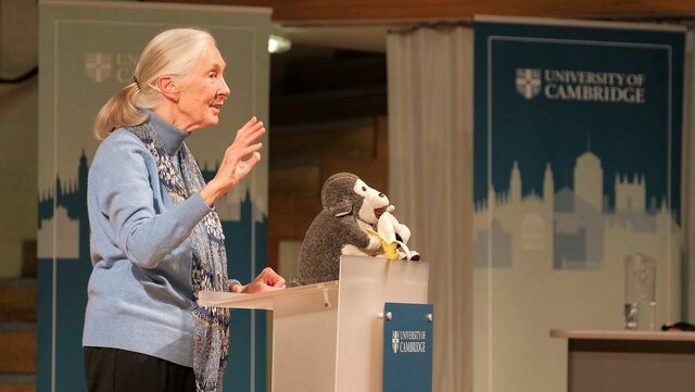 Jane Goodall completed her thesis in Cambridge University.