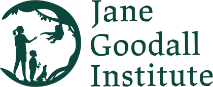 Jane Goodall founded the Jane Goodall Institute in an attempt to prevent the further destruction of the environment and mistreatment of animals.
