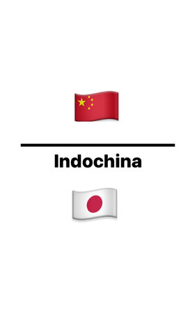 Japón se apodera del resto de indochina