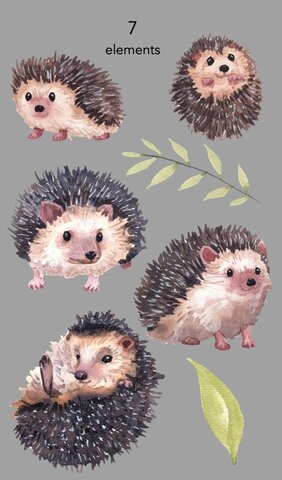 Sün Samu megszületett