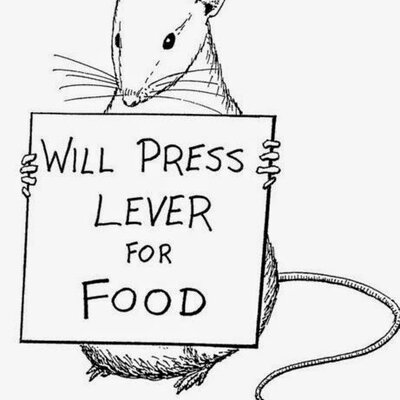 Timeline: Συμπεριφορικές Θεωρίες Μάθησης